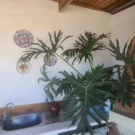 Meerblick Candelaria Holiday home *